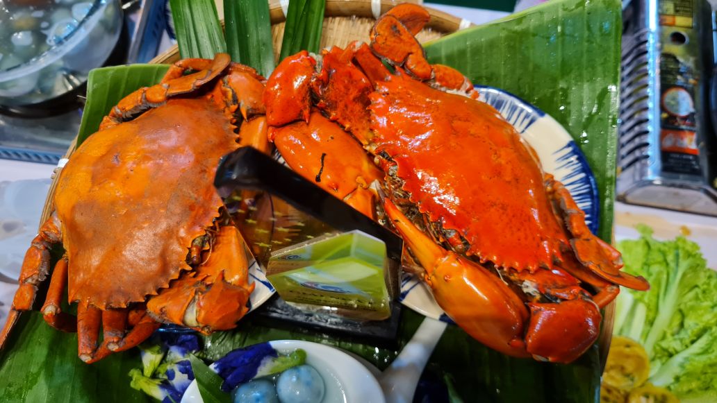 Take the opportunity to enjoy delicious food at the "Paradise" of Ca Mau crab