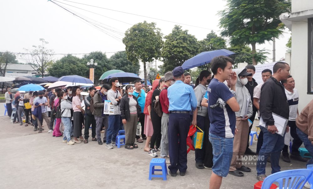 Ghi nhan luc 15h ngay 17.11.2025, hang dai nguoi doi mua xep hang cho vao diem nop ho so du an nha o xa hoi CT3 Kim Chung. Anh: Nhu Ha