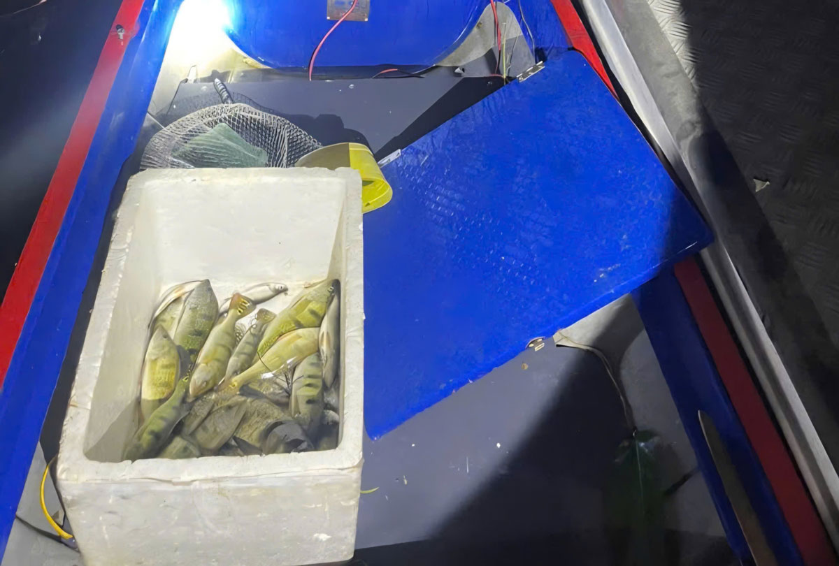 Ca lon, ca be vung long ho Thac Ba bi khai thac, danh bat bang kich dien. Anh: Bao Nguyen