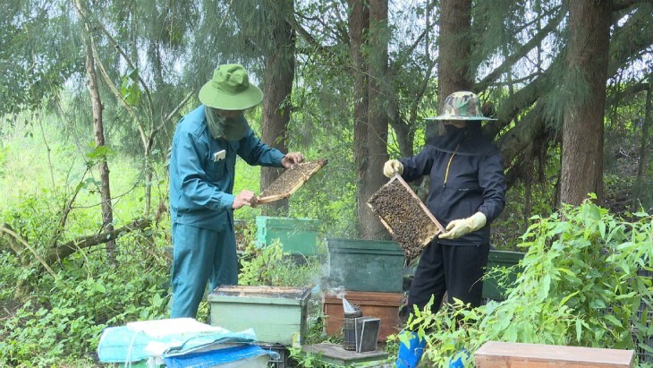 ニンビントラオウム地域の蜂蜜は、持続可能なブランドを目指して進んでいます。トゥントゥさんの写真