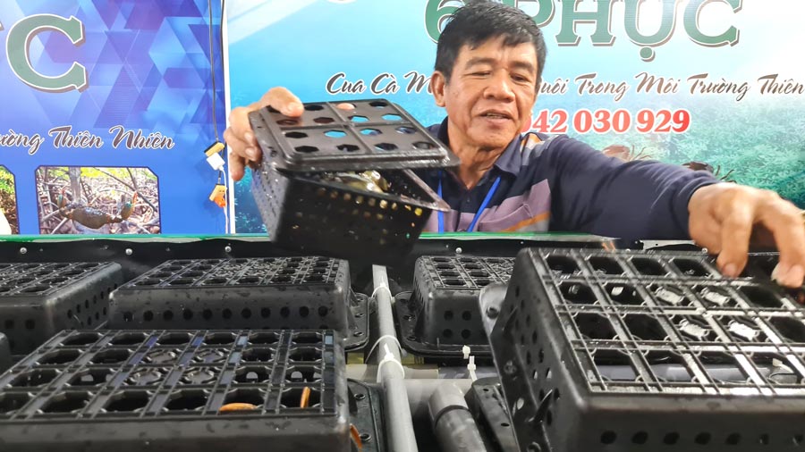 까마우 게는 플라스틱 상자에 담겨 양식되며 해안에 두면 질병을 통제할 수 있고 먹이는 수확량이 높지만 품질은 여전히 보장됩니다. 사진: 낫 호