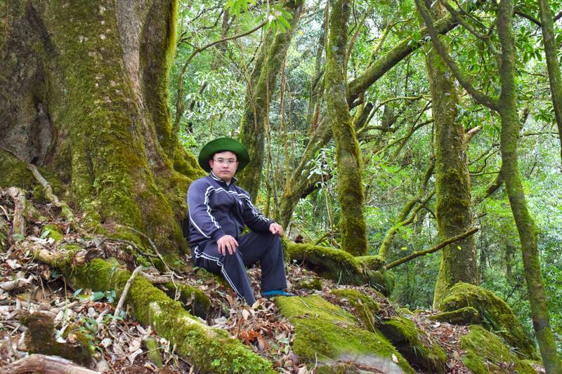 ព្រៃបុរាណ Nam Nghep ត្រូវបានជ្រើសរើសដោយមនុស្សជាច្រើនសម្រាប់ការឆែកឆេរ ដោយសារតែភាពស្រស់ស្អាតរបស់វាពេញមួយការធ្វើដំណើរឡើងភ្នំ។ រូបថត៖ Truong Son