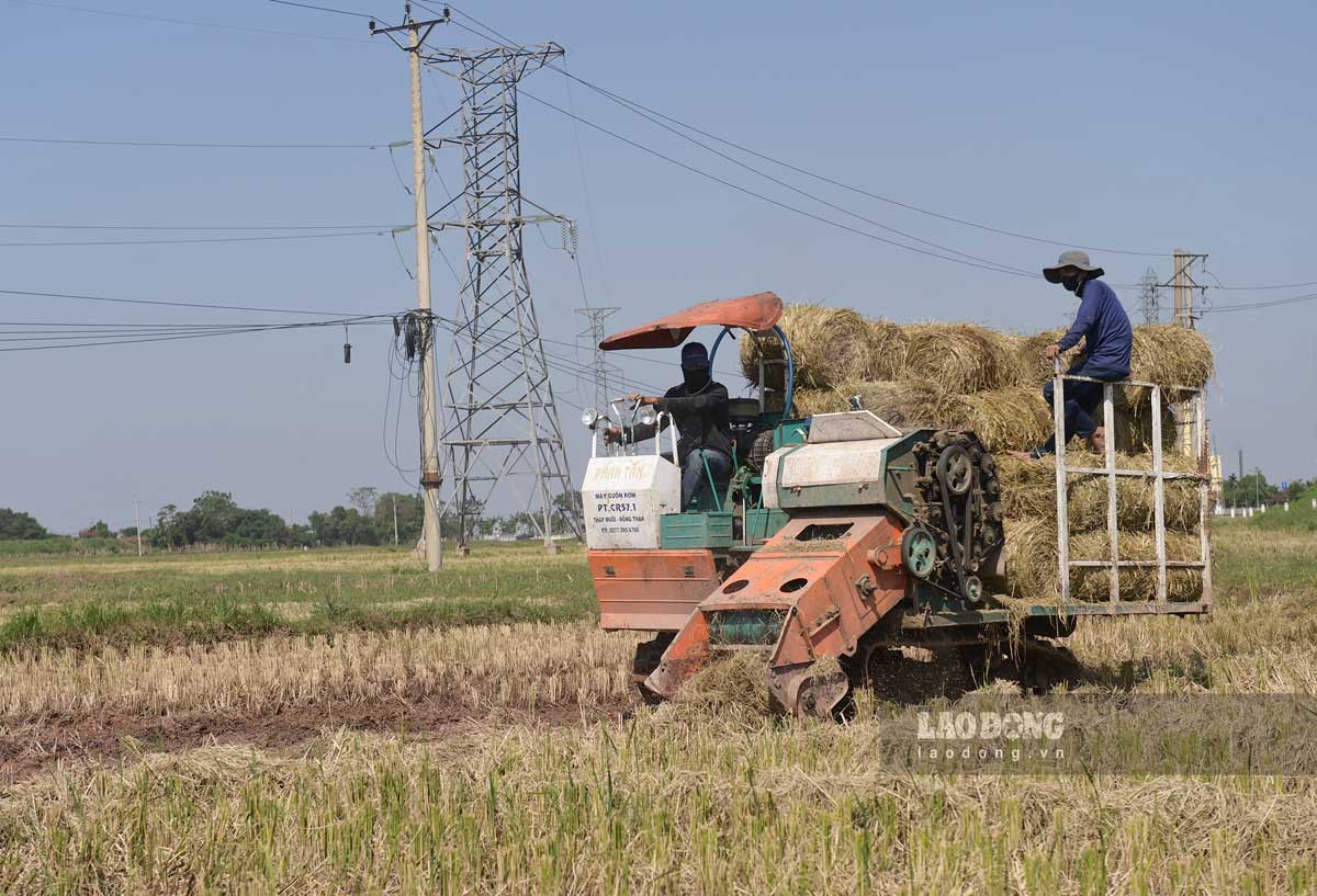 Rom duoc dung may cuon gon giup de van chuyen. Anh: Ha Vi 