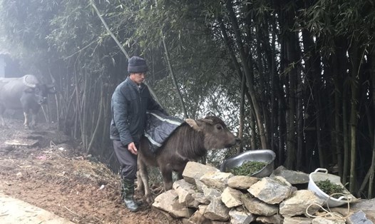 Chu tich UBND tinh Lao Cai yeu cau cac dia phuong chu dong ung pho voi ret dam, ret hai. Anh: Bao Nguyen