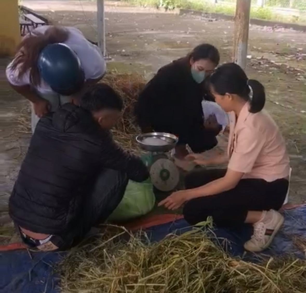 Trong cac buoi day nghe, ba con duoc hoc nhieu buoi thuc hanh de nam ro hon cach cham soc gia suc. Anh: Bao Lam