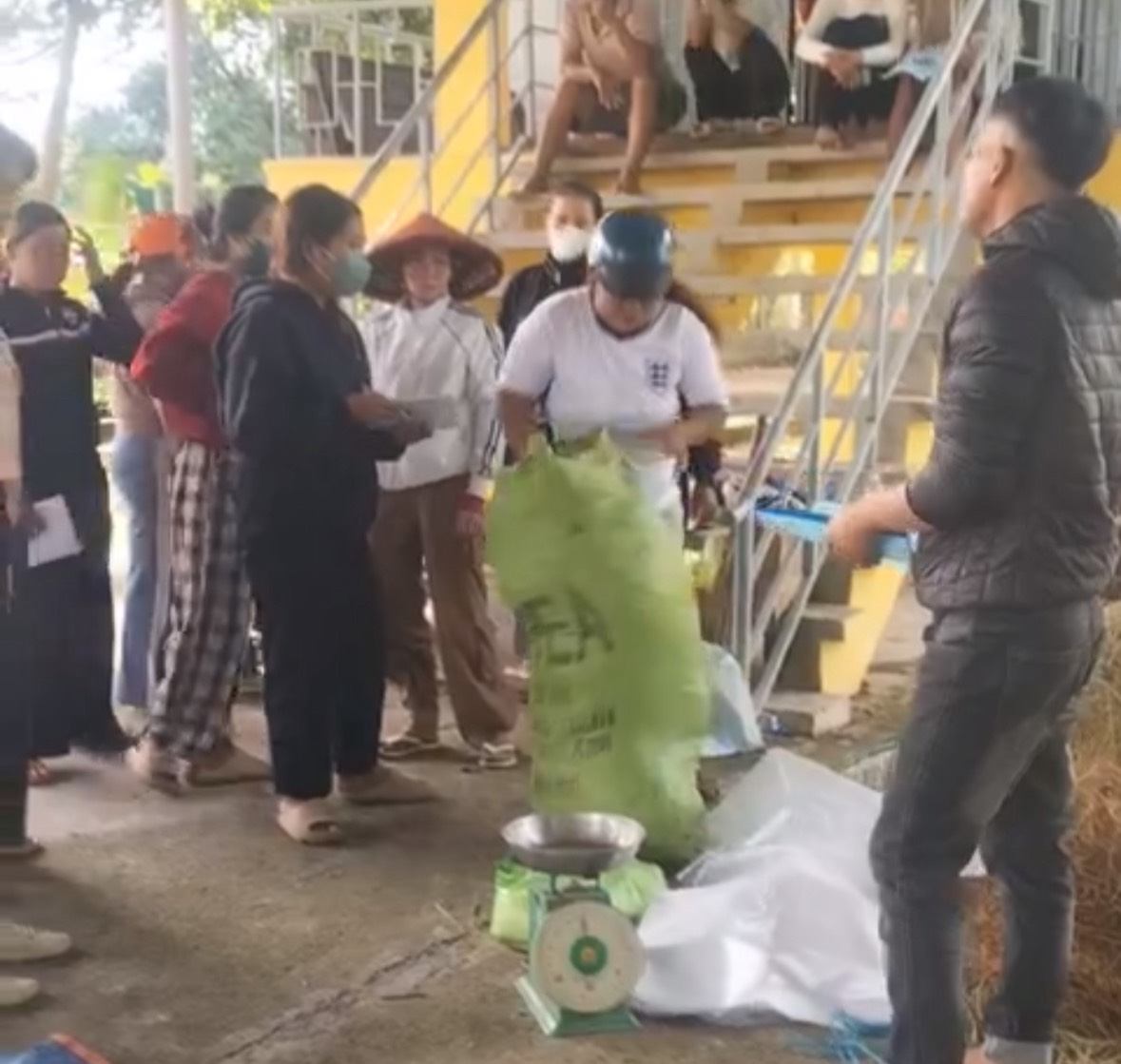 Nguoi dan xa Buon Don hoc thuc hanh nghe chan nuoi trau bo. Anh: Bao Lam