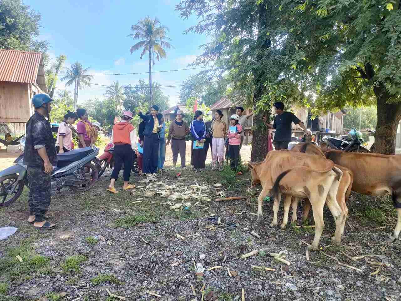 Rural workers in Buon Don commune, Dak Lak province are instructed and trained in animal husbandry. Photo: Bao Lam