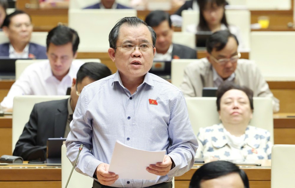 Dai bieu Quoc hoi Nguyen Tam Hung phat bieu. Anh: Pham Dong