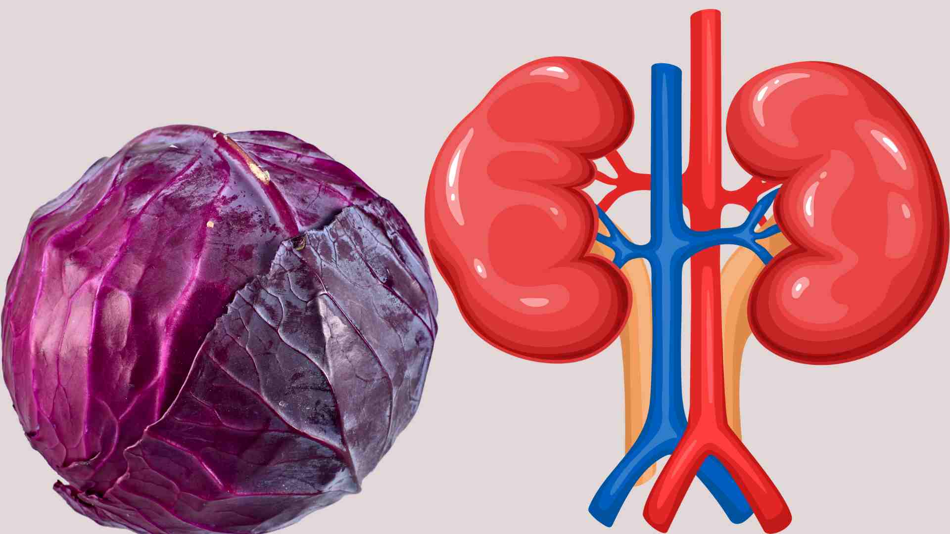 リンゴは腎臓に良い。イラスト:Ha May