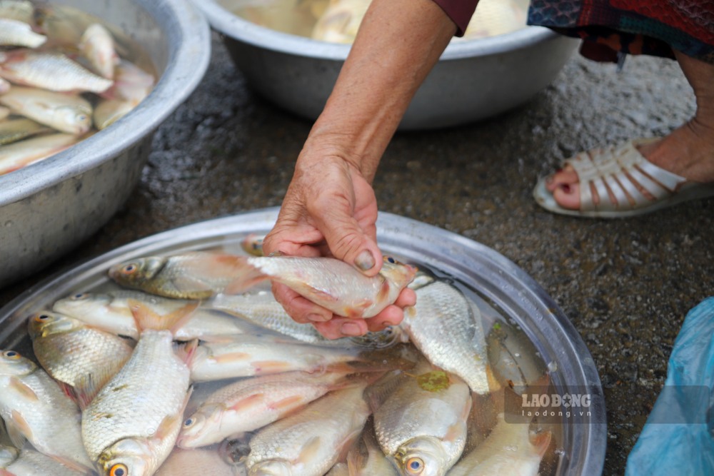 Nhieu loai ca duoc nguoi dan danh bat o dong ruong, cac song mang den ban tai day. Day la thuc pham duoc ua chuong va mua nhieu nhat.