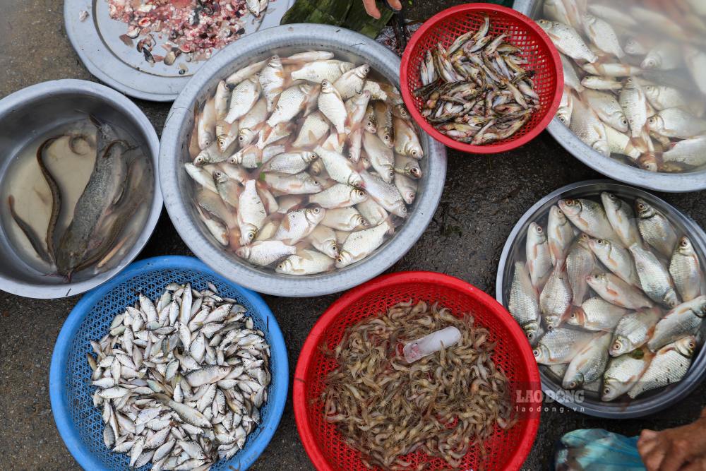 Rat nhieu loai thuc pham nhu rau, cu qua, ca, tom tuoi duoc bay ban tai khu cho tam. 