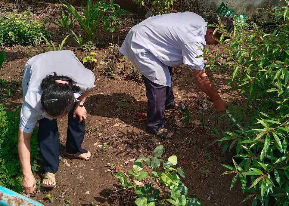 Nhan vien tram y te xa trong them cay thuoc nam de dieu tri benh cho nguoi dan. Anh: Bao Lam