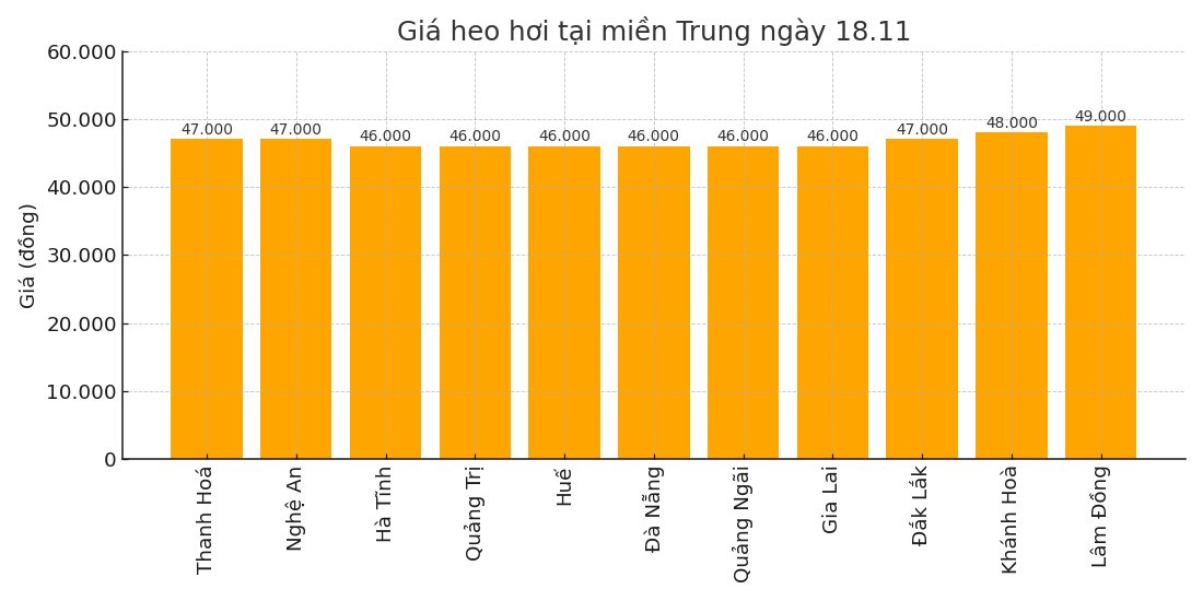 Gia heo hoi ngay 18.11 tai khu vuc mien Trung. Do hoa: Thuy Linh.