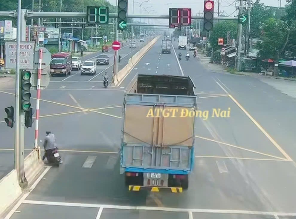 The owner was fined in Dong Nai. Photo: Dong Nai Provincial Police