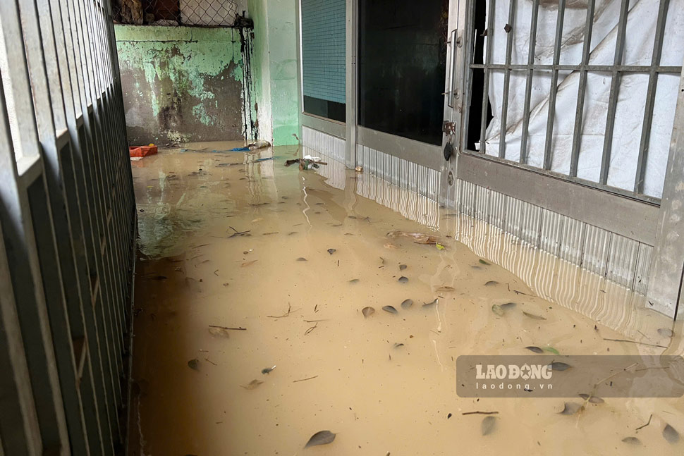 Nhieu nha dan bi ngap nuoc hon ca met. Anh: Hoai Phuong