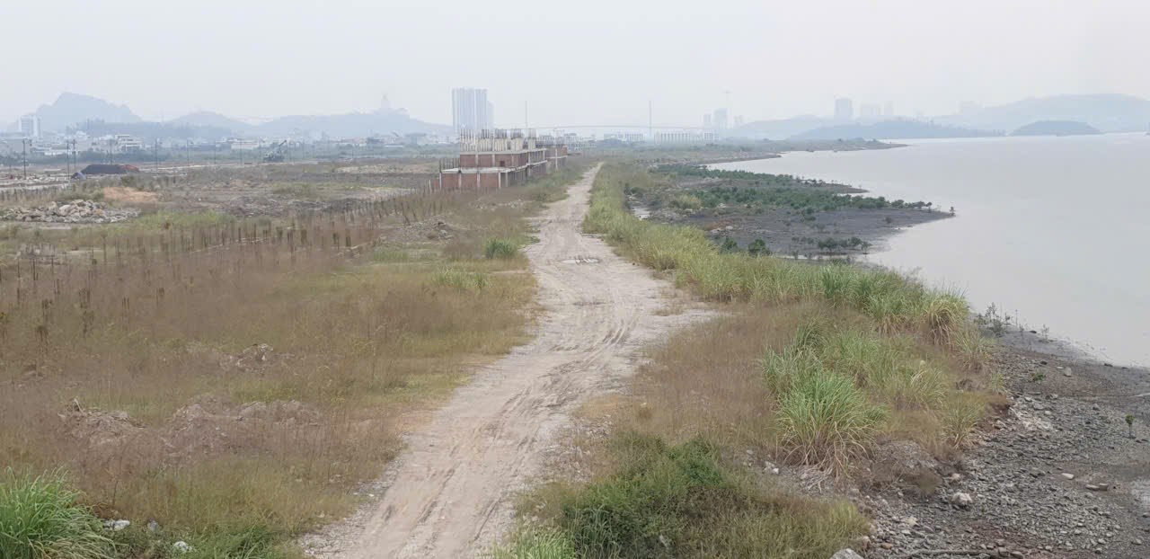 Location of the road along Cua Luc Bay, starting from near the P4 pillar of Bai Chay Bridge, passing through Binh Minh Bridge to Bang Bridge, passing through the foot of Binh Minh Bridge. Photo: Nguyen Hung