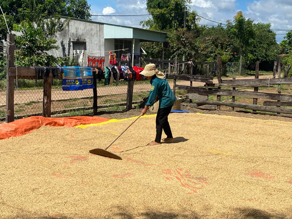 Nguoi dan xa Ia Mo can dat dai san xuat va day nghe de cai thien doi song tung buoc. Anh: Tra My 