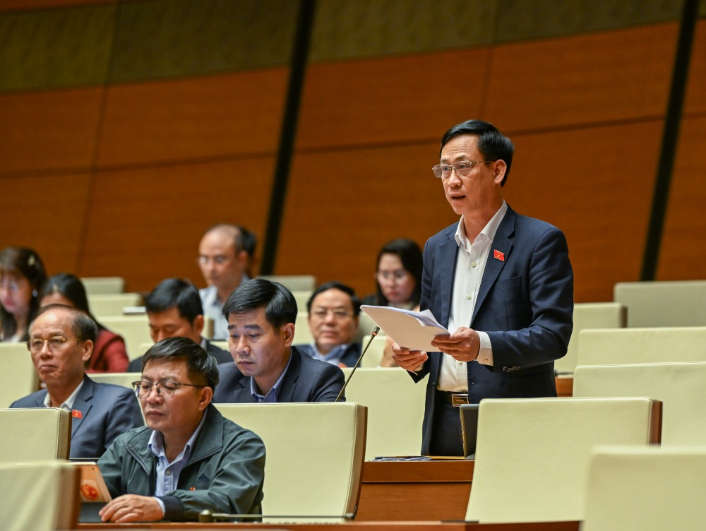 Dai bieu Quoc hoi Mai Van Hai phat bieu. Anh: Pham Dong