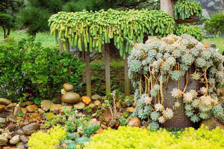 Khong gian nghe thuat song dong voi nhung tac pham sen da cong phu tai Le hoi Hoa Sen da 2025. Anh: Thanh Son 