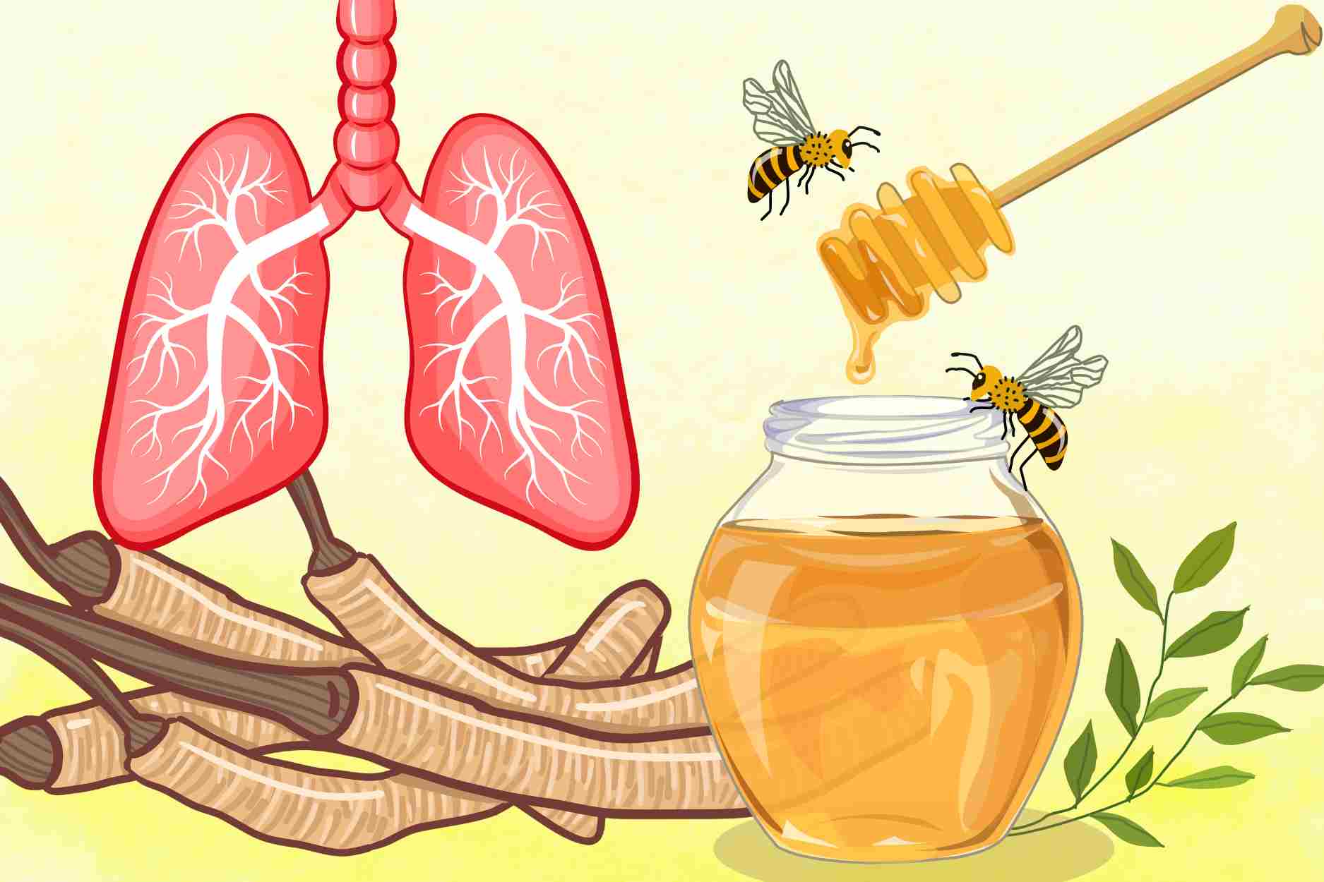 How to combine hypoglycemia and honey to increase respiratory resistance