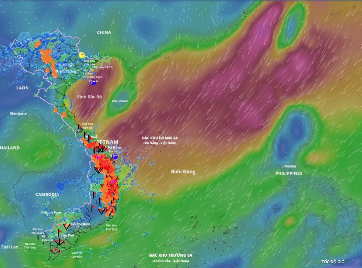 強まる寒気により、多くの海域で雷雨、強風が発生しています。以下は、11月18日夜に更新された海上風場の画像です。出典:ベトナム自然災害監視システム