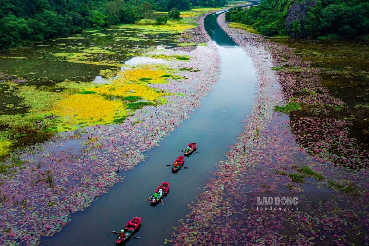 Tam Coc - Bich Dong la diem du lich noi tieng Ninh Binh. Du kien cac nha lam phim An Do se khao sat mot so diem den o Ninh Binh. Anh: Trong Cung