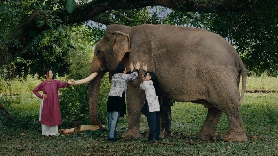 Phan canh “thay boi xem voi” lay boi canh xa Dak Lieng trong MV. Anh cat tu MV