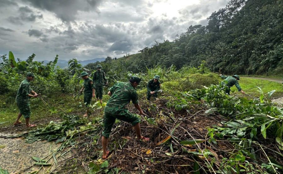 Cay coi phu loi di can phai don dep de thong duong. Anh: H.Nguyen