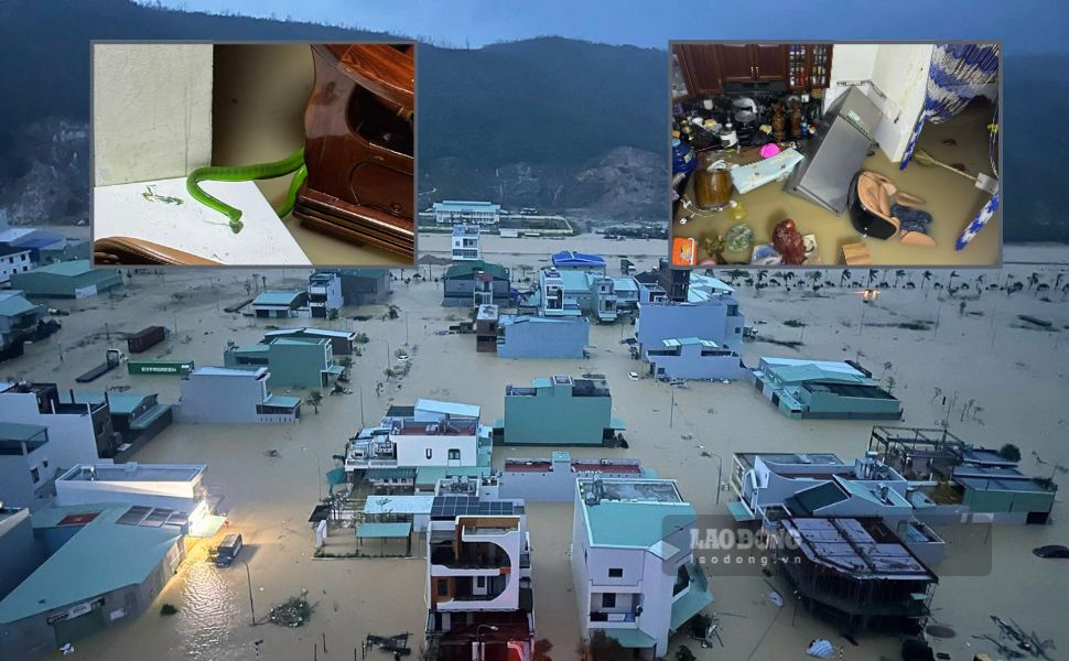 The entire Quy Nhon Bac ward (Gia Lai) was submerged in floodwater on the morning of November 19. Photo: Dinh Tan