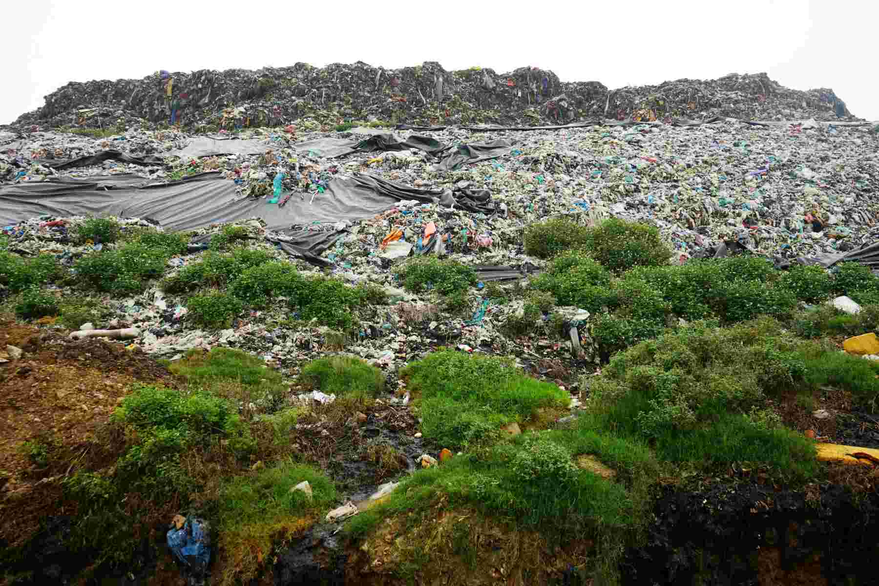 탄호아성 쌈선의 거대한 쓰레기 매립지는 수년 동안 과부하 상태였습니다. 사진: Quach Du