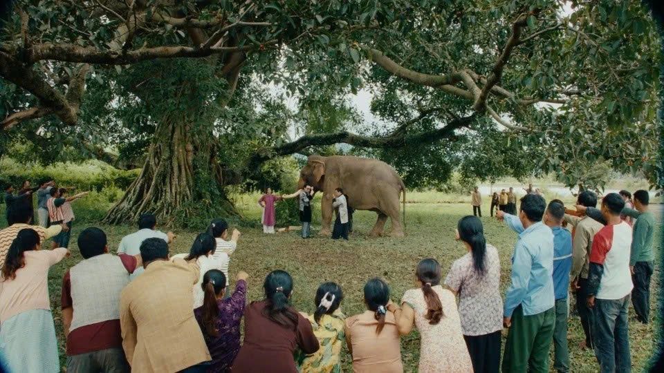 Mãn nhãn cảnh đẹp Việt Nam trong MV Mục hạ vô nhân của Soobin.