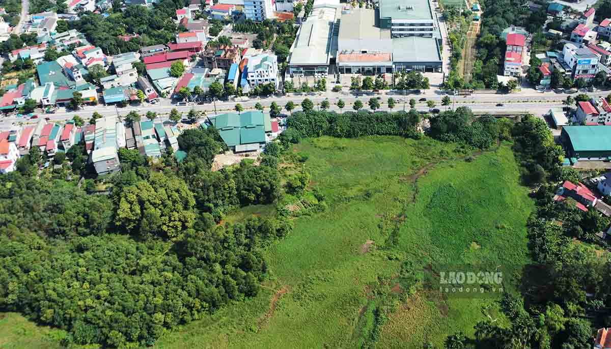 Hơn 4,9 ha đất vàng giữa trung tâm tỉnh Phú Thọ được thu hồi để làm dự án Đại siêu thị và trung tâm phân phối vùng vẫn bỏ hoang nhiều năm. Ảnh: PV.