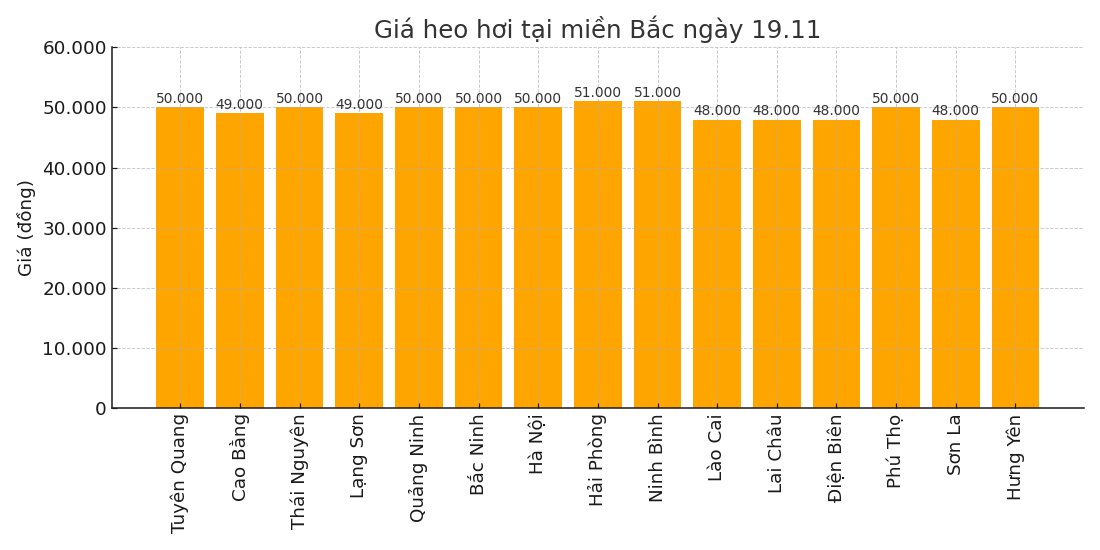 Gia heo hoi hom nay 19.11 tai khu vuc mien Bac. Do hoa: Thuy Linh