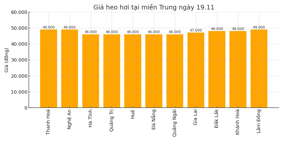 Gia heo hoi hom nay 19.11 tai khu vuc mien Trung. Do hoa: Thuy Linh