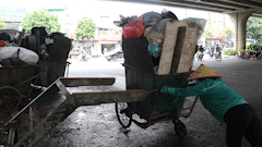 하노이 다리 밑은 지저분하지만 쓰레기 환승 지점이 되었습니다.