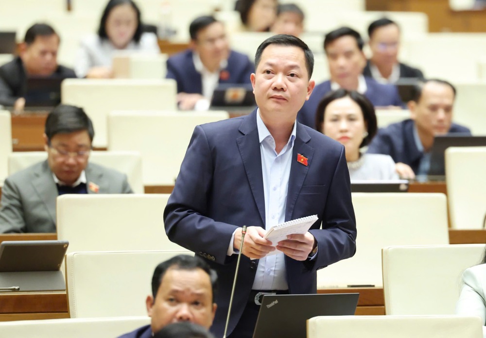 Dai bieu Trinh Xuan An phat bieu. Anh: Pham Dong