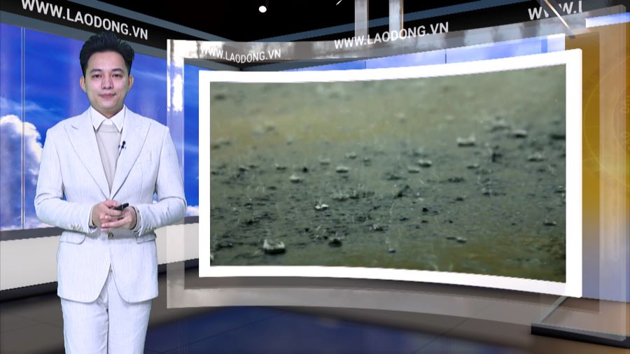 Weather forecast for tonight and tomorrow, November 20