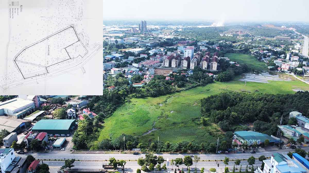 Khu đất vàng hơn 4,9 ha giữa trung tâm tỉnh Phú Thọ được thu hồi làm dự án Đại siêu thị và trung tâm phân phối vùng nhưng sau cả chục năm vẫn bỏ hoang. Ảnh: PV.