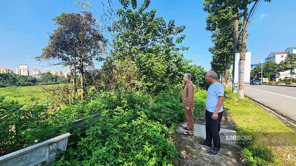 Dự án Đại siêu thị và trung tâm phân phối vùng tại phường Vân Phú, tỉnh Phú Thọ của Tập đoàn Phú Thái bị chấm dứt, thu hồi chứng nhận đầu tư nhiều năm nhưng đất ở của người dân chưa được hoàn trả. Ảnh: PV.