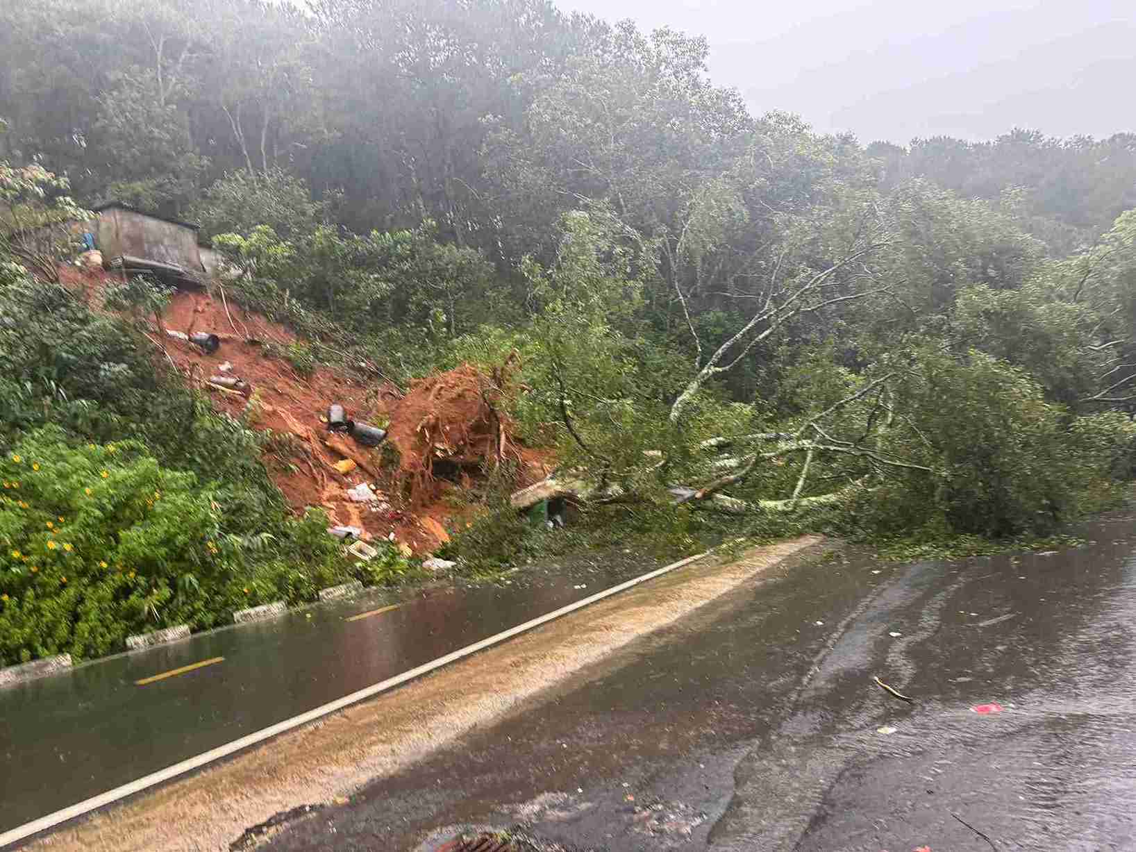 Sat lo bo taluy duong khie dat da, cay go rung do chan ngang duong deo Mimosa. Anh: Phuc Khanh