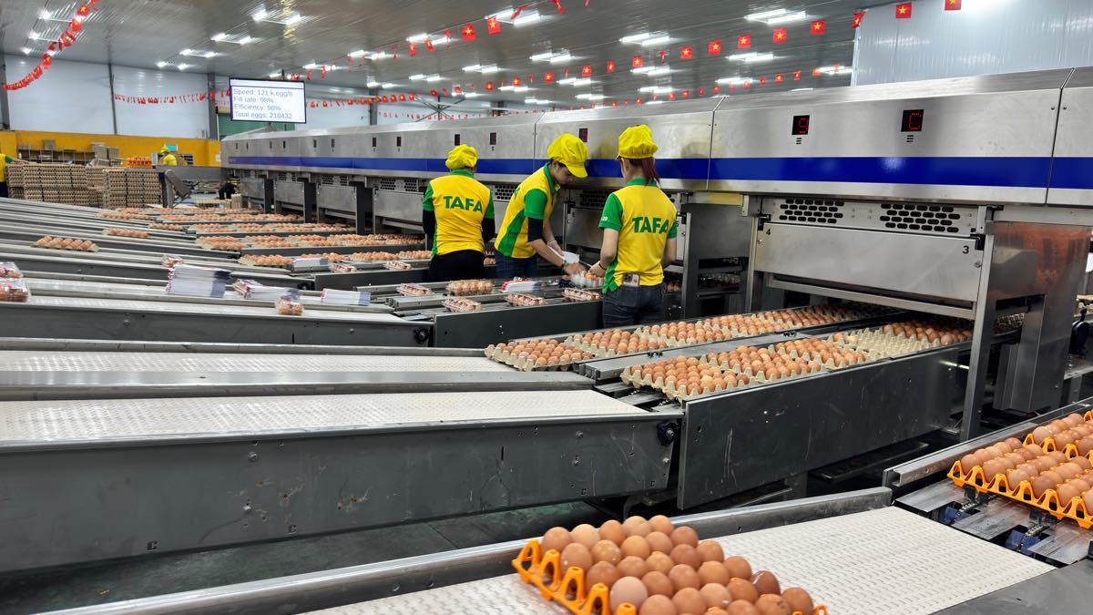 Cong nhan lam viec tai xuong trong Cong ty Tafa Viet. Anh: Duy Tuan 