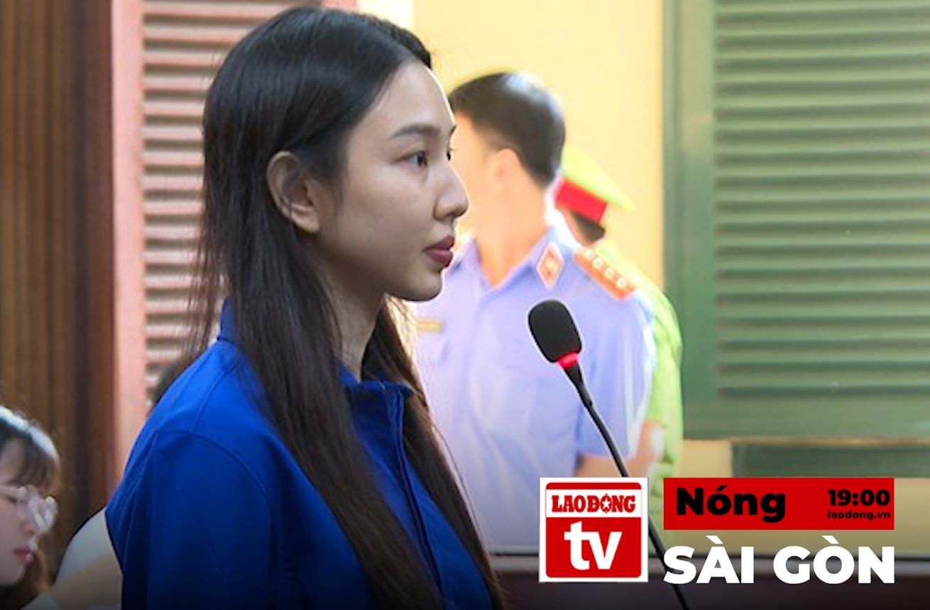 11월 19일 사이공 핫 뉴스