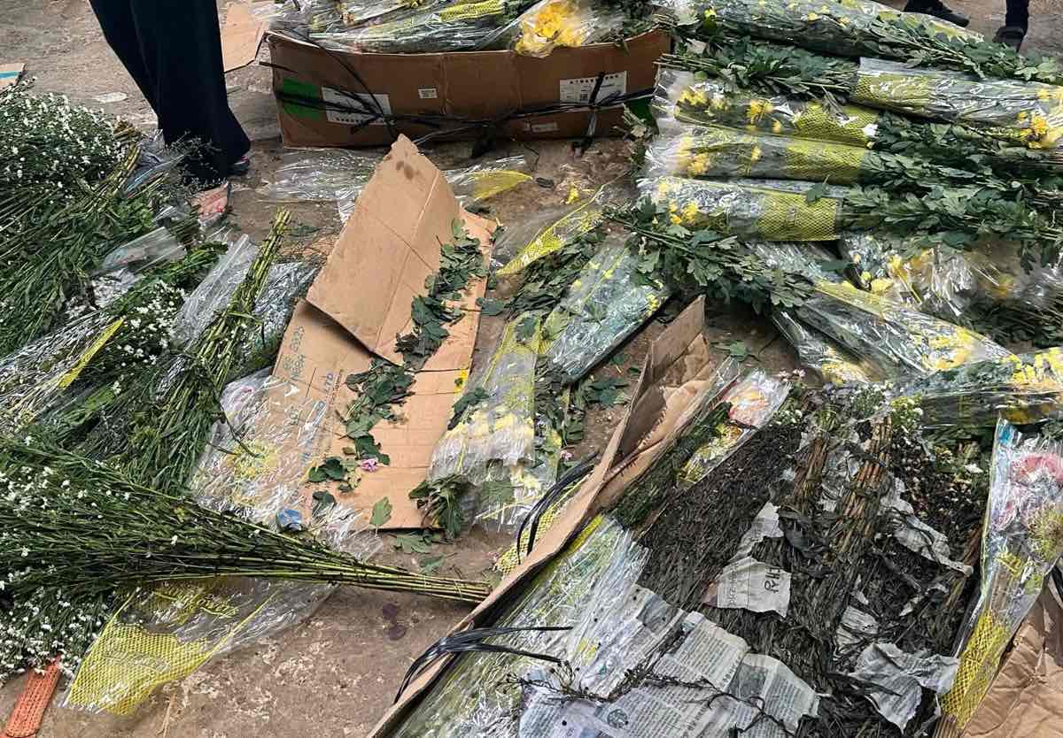 Hoa bi heo ua duoc xe tai cho den tra lai cho cac vua. Anh: Phuc Khanh