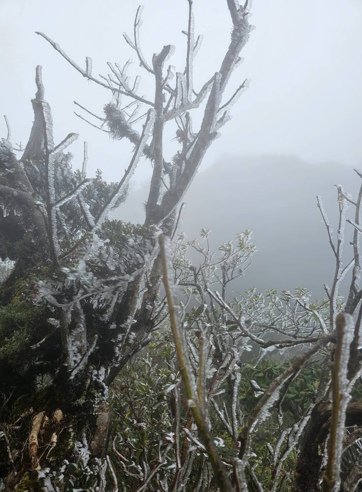 Inusual fenómeno de nieve y hielo prematura en las cumbres de las montañas de Lao Cai. Foto: Phang Ga
