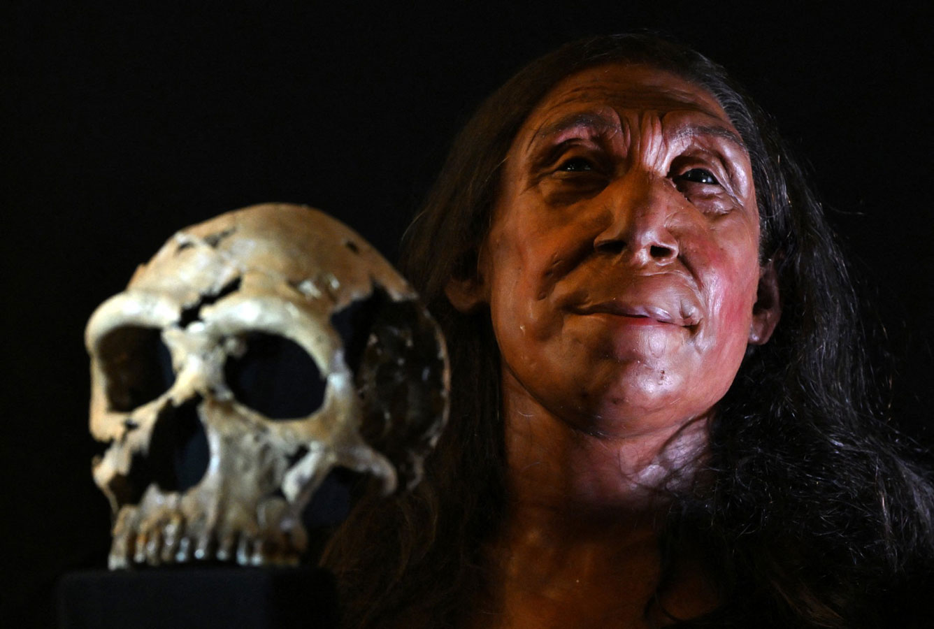 The reconstructed skull box and facial reconstruction model of a 75,000-year-old Neanderthal woman are named Shanidar Z. Photo: AFP
