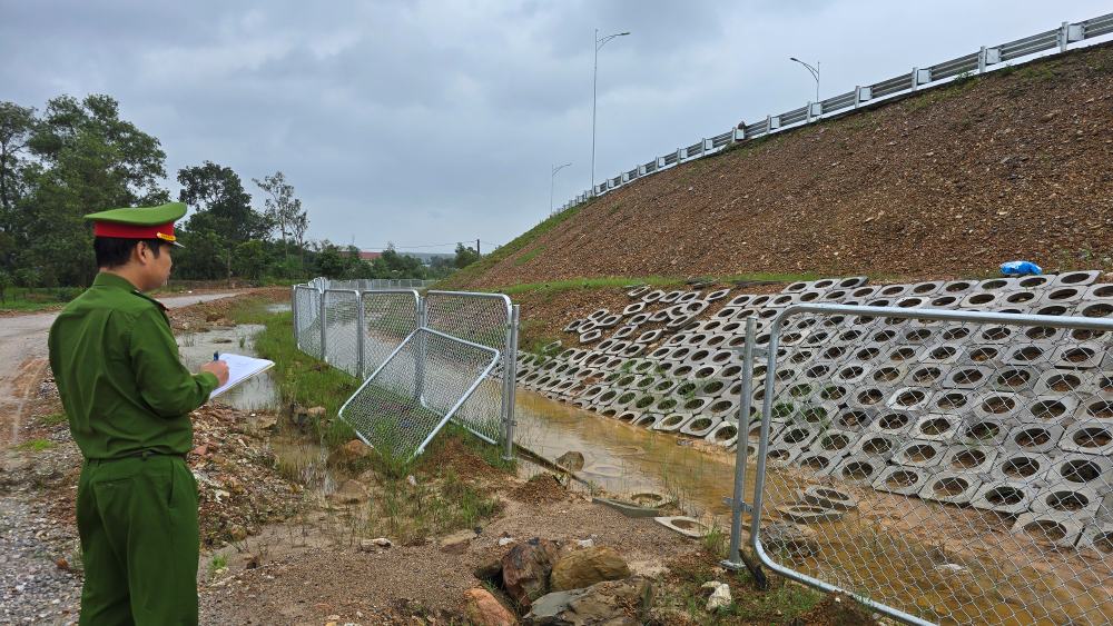 The road of the herd of cows was lost on the Van Ninh - Cam Lo expressway. Photo: Hung Tho