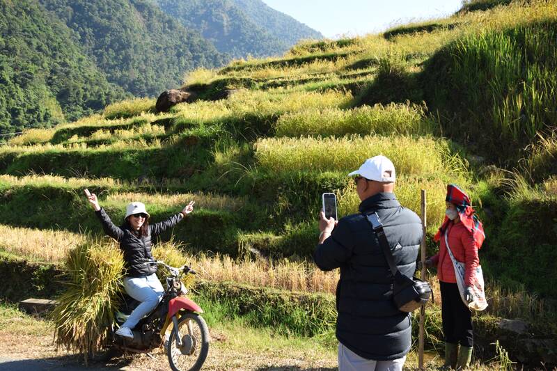 Du khach tham quan, chup anh voi ruong bac thang mua lua chin tren dinh Sam Sip. Anh: Truong Son
