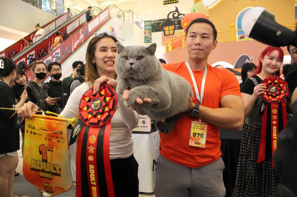 Nhung hoa hau meo thang giai tai cuoc thi. Anh: Thai Bao. 