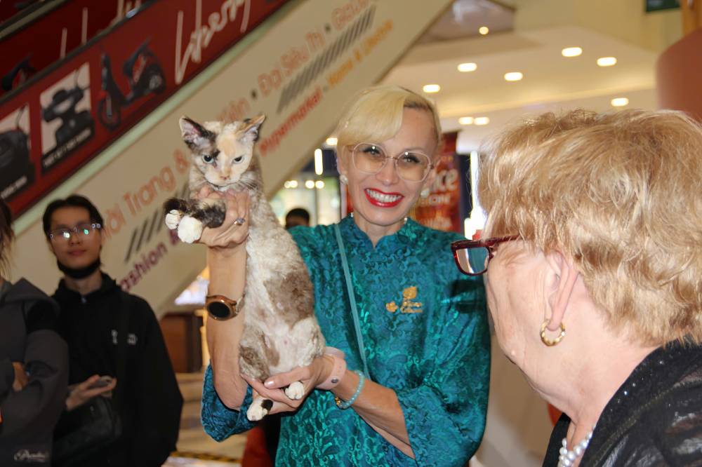 Cac chu meo tham gia se trai qua bon vong thi voi su danh gia cua ban giam khao quoc te, dua tren cac tieu chi nhu ngoai hinh, can nang, tinh cach va kha nang hoa dong. Anh: Thai Bao. 