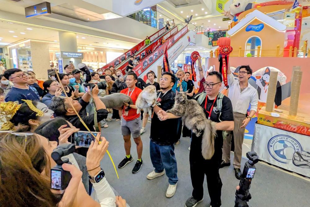  Hon 100 chu meo tren khap the gioi quy tu o cuoc thi “Hoa hau meo” quoc te Viet Nam. Ảnh: Thai Bao